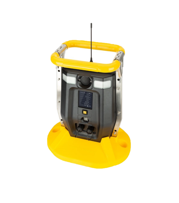 BW RR100P/BWRR100D移动式复合气体无线区域检测仪